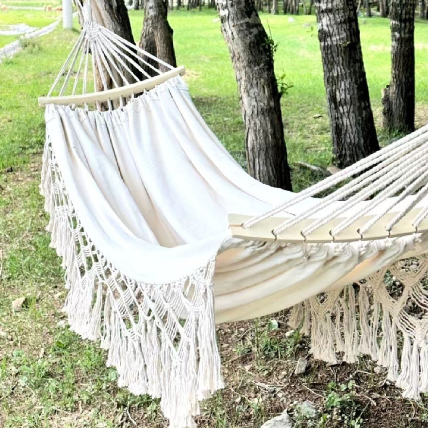 2-Person Canvas Solid Wood Tassels Fishtail Knitting with Mounting Straps & Curved Rod & Carrying Bag Double Hammock