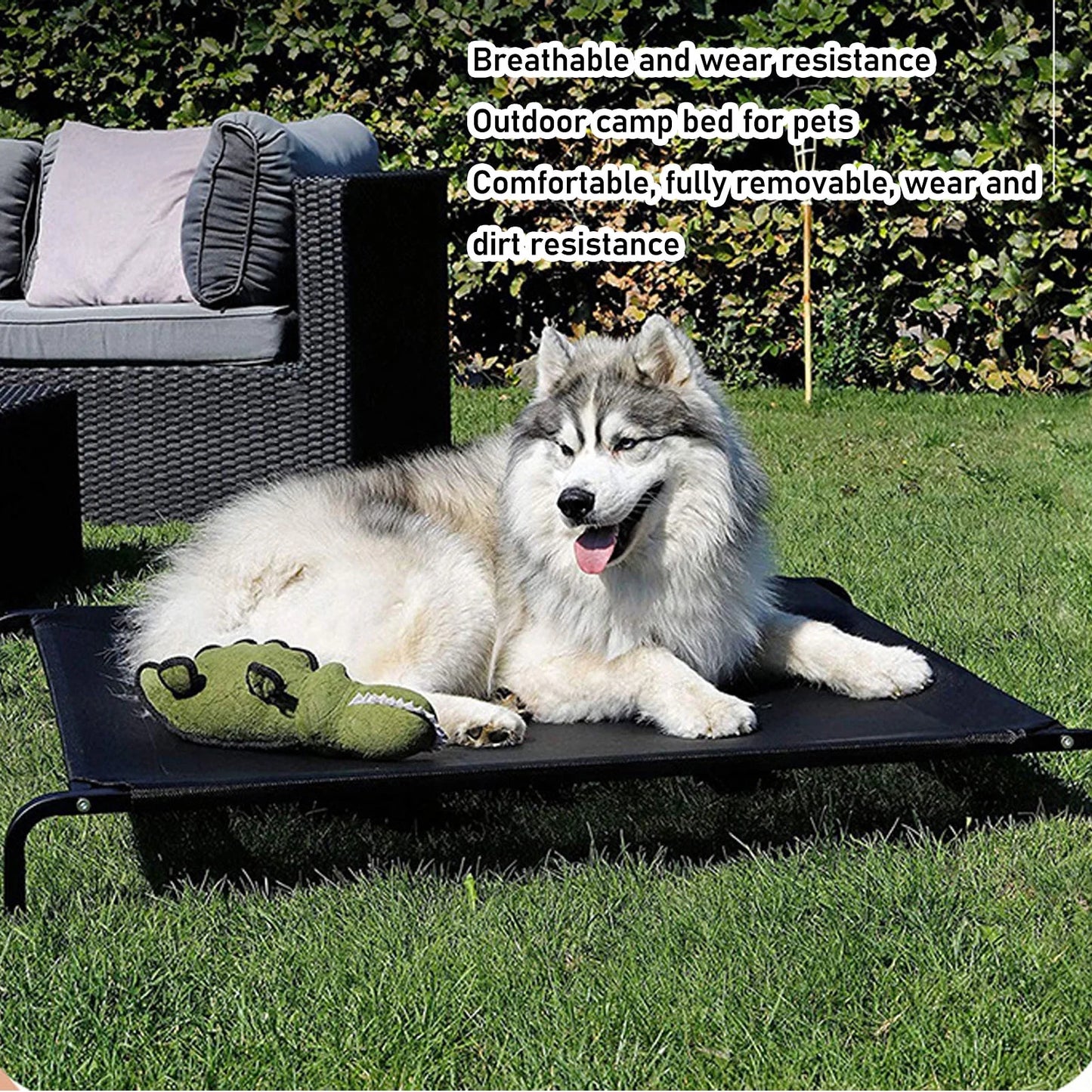 Mgaxyff Elevated Dog Bed Elevated Pet Bed Dog Cot With Washable Mesh For Indoors & Outdoors For Camping