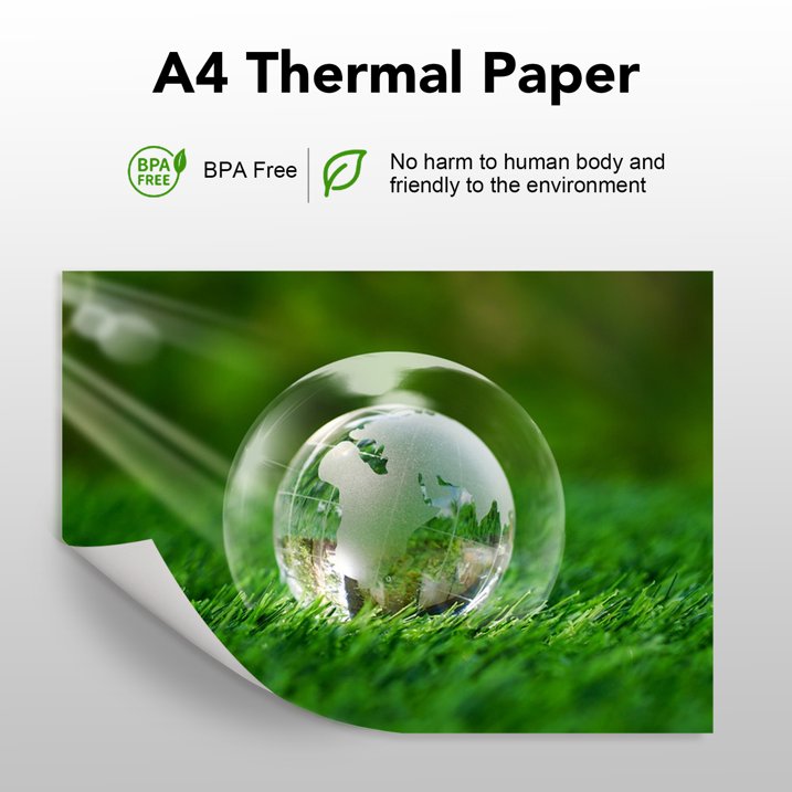 10 Rolls Thermal Paper (210mm/8.27" width/6m long, Φ1.18") Widely Compatible with Portable Thermal Printers, Quick-Dry A4 Thermal Printer Paper for Documents Picture Homework, 20 Sheets/Roll