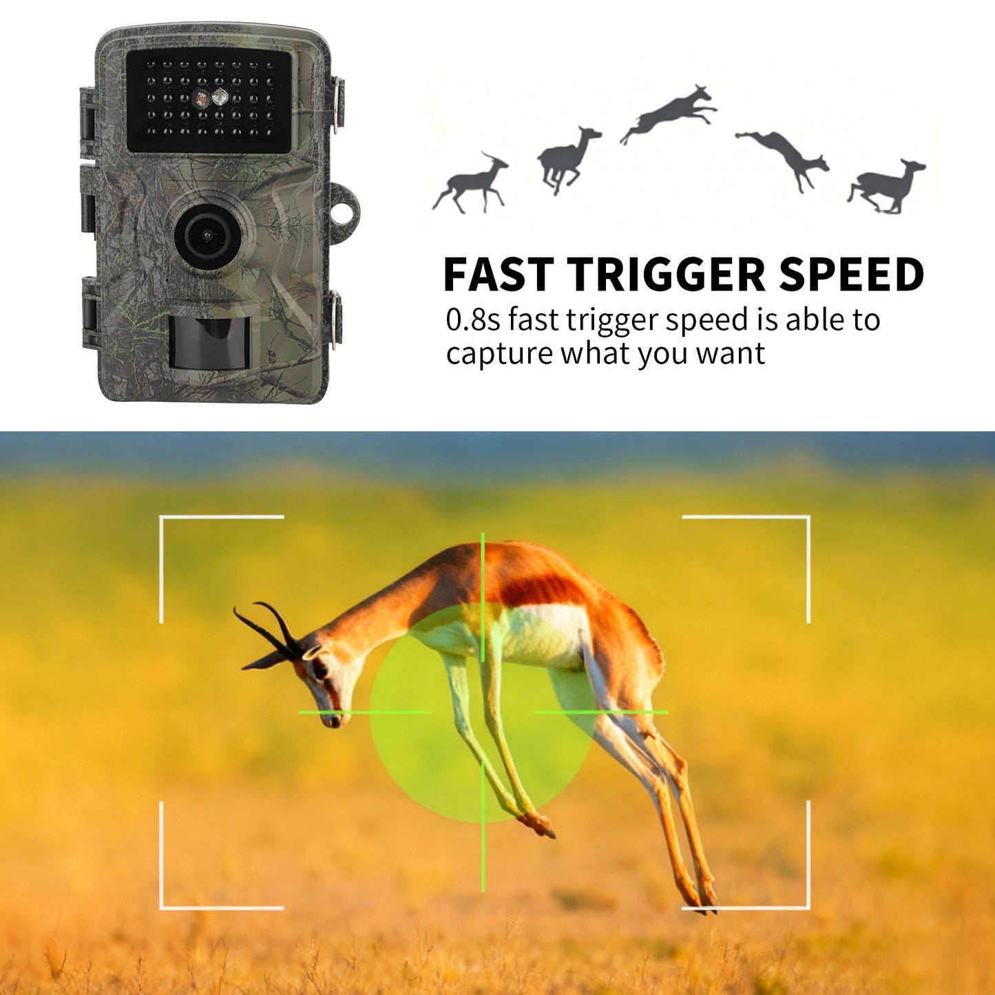 BOTEGRA Trail Camera 1080 16MP Game Deer Hunting Camera with Night Vision Motion Activated Waterproof