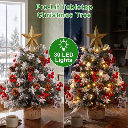 22 inch Tabletop Christmas Tree with Lights, Snowy Artificial Small Christmas Trees Battery Operated 30 Warm Lights Red Berries Pine Cone Stable Base Mini Tree Xmas Decorations Indoor Holiday