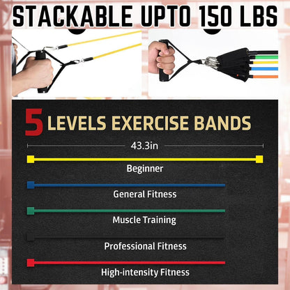 Ldyso Resistance Bands Exercise Bands Workout Bands - Up to 100 LBS, Indoor and Outdoor Bands with Door Anchor and Handles for Strength, Slim, Yoga, Home Gym Equipment for Men/Women