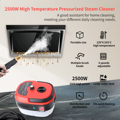 Steam Cleaner,2500W Handheld High Temperature Pressurized Steamer for Cleaning,10S Fast Heating, with 3Pcs Brush Heads for Kitchen/Furniture/Bathroom/Car,Red