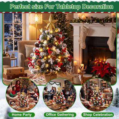 22 inch Tabletop Christmas Tree with Lights, Snowy Artificial Small Christmas Trees Battery Operated 30 Warm Lights Red Berries Pine Cone Stable Base Mini Tree Xmas Decorations Indoor Holiday