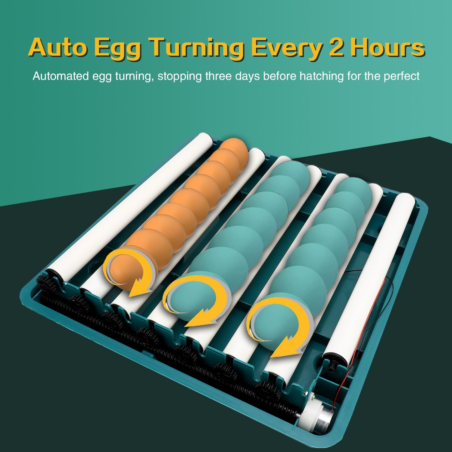 48 Egg Incubator with Temperature and Humidity Monitoring, Egg Candler, Automatic Egg Turner, for Hatching Chickens