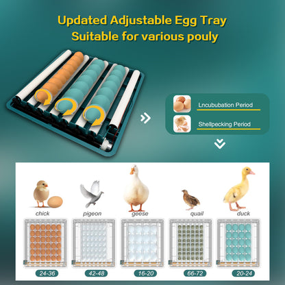 48 Egg Incubator with Temperature and Humidity Monitoring, Egg Candler, Automatic Egg Turner, for Hatching Chickens