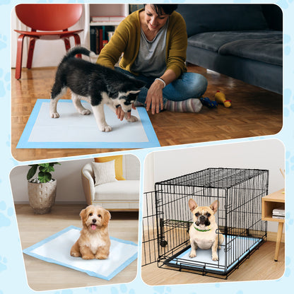 Auwogo Dog Training Pads, 13 in x 18 in, S, 100 Count Disposable Dog Puppy Pee Pads