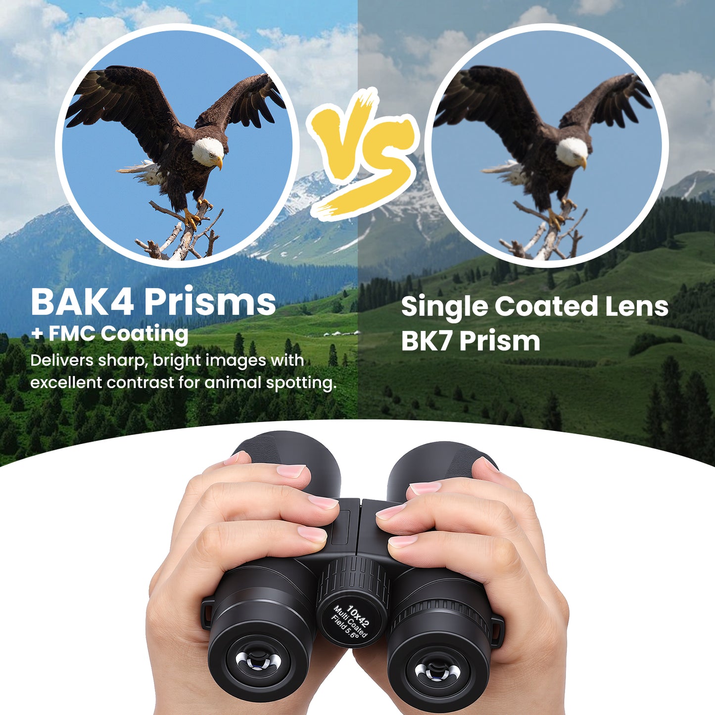 10x42 Binoculars for Adults, BAK4 Lens, IP5 Waterproof Easy Focus HD Binoculars with Clear View for Travel, Outdoor, Sports & Bird Watching
