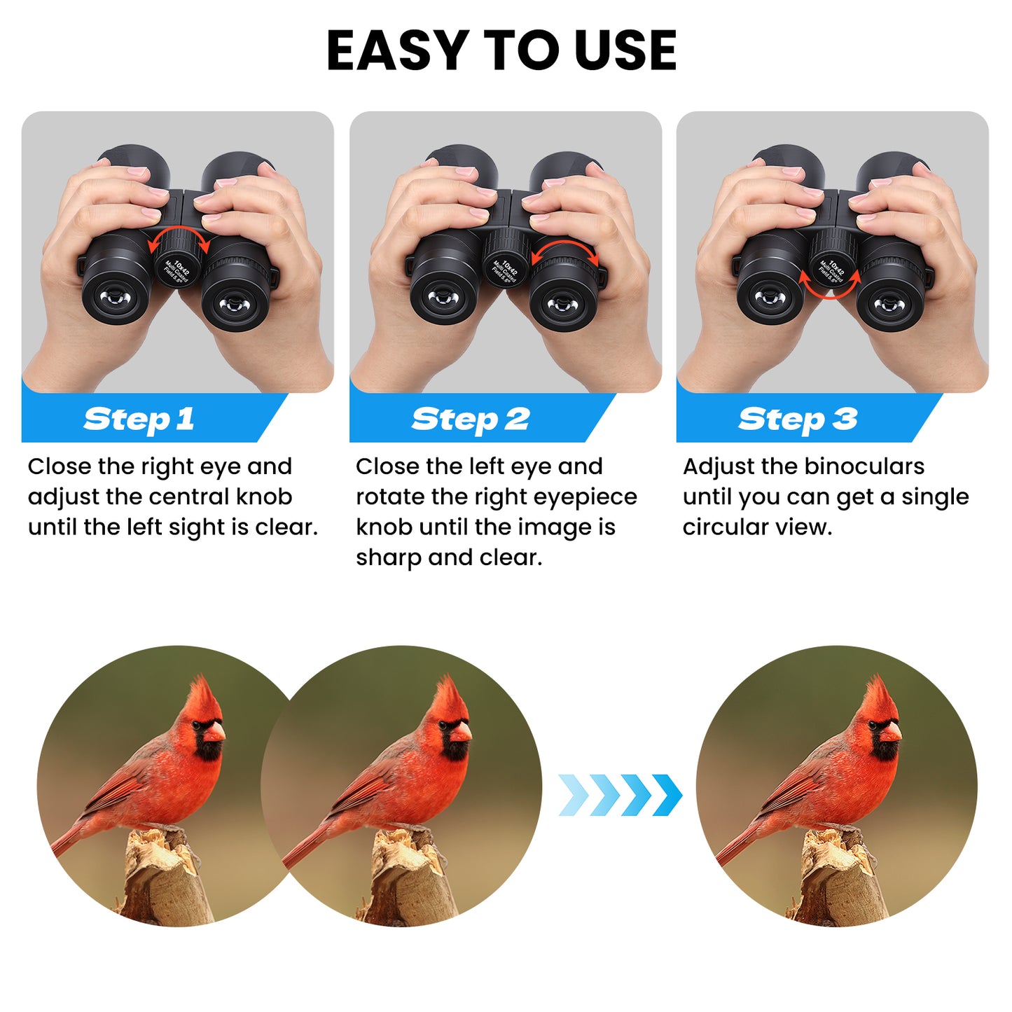 10x42 Binoculars for Adults, BAK4 Lens, IP5 Waterproof Easy Focus HD Binoculars with Clear View for Travel, Outdoor, Sports & Bird Watching
