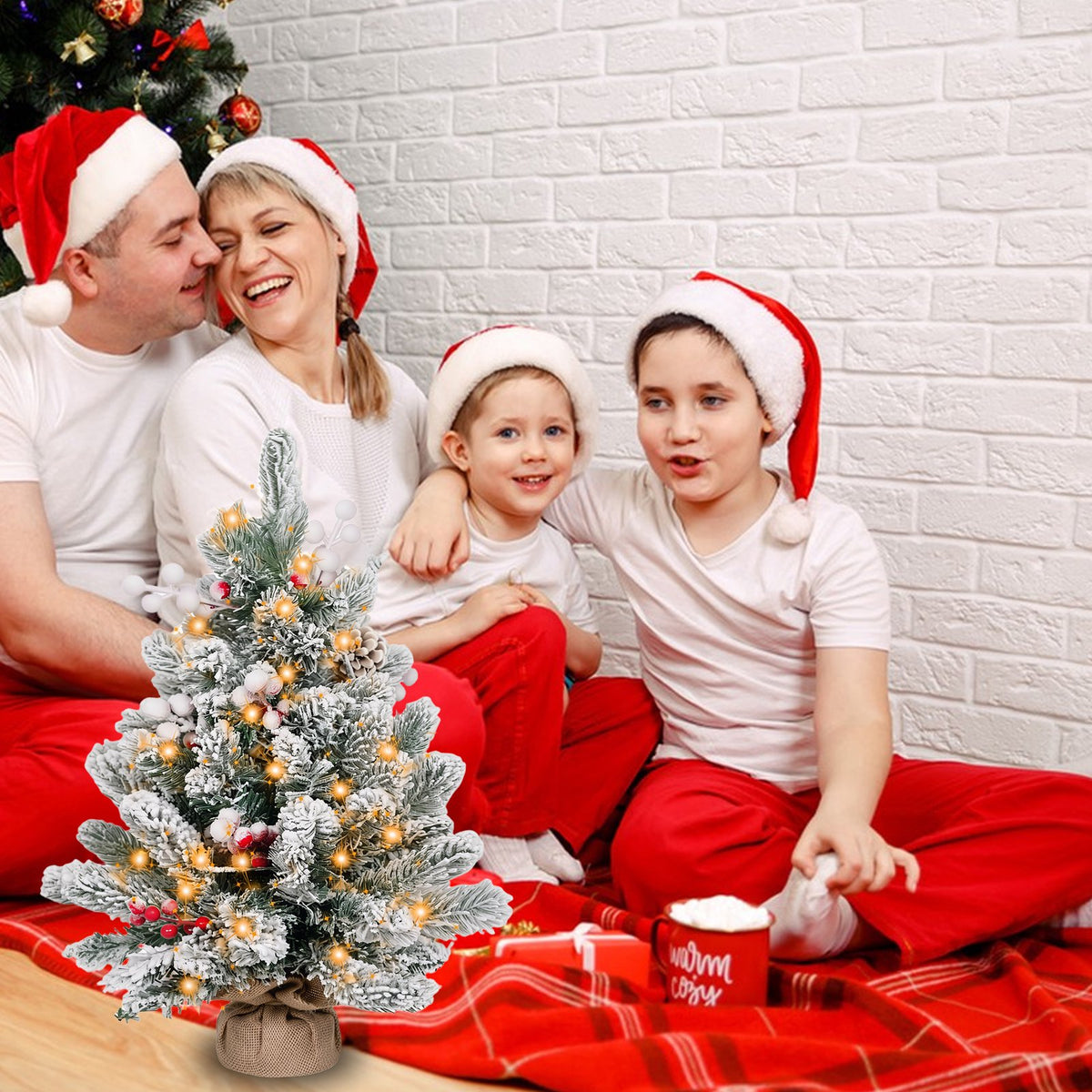 Small Xmas Tree Warm Light LED String Flocked Snow Decor Artificial Desktop Xmas Pine Tree for Home 60cm / 23.6in