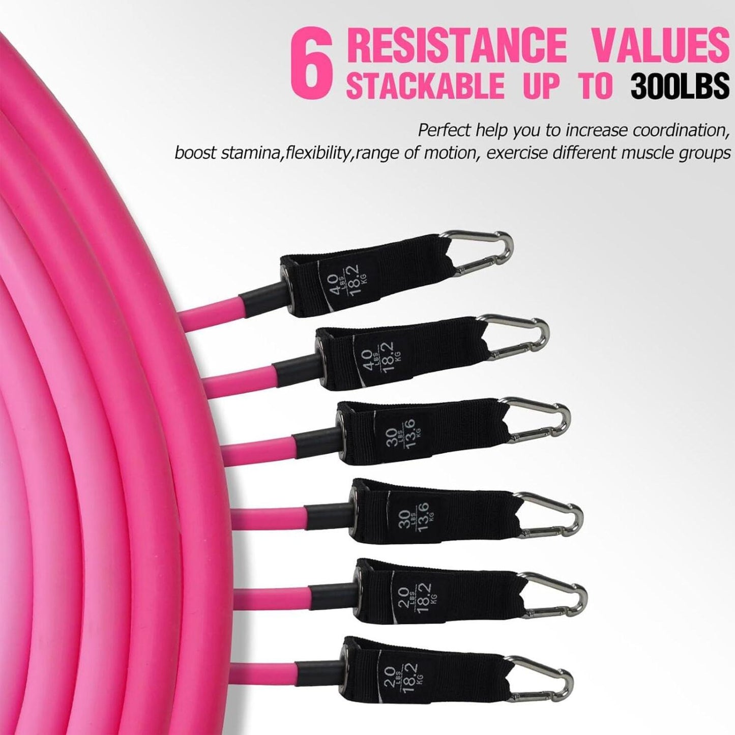 Pilates Bar Kit with Resistance Bands,Pilates Bar with Stackable Bands Workout Equipment for Legs,Hip,Waist and Arm,Exercise Fitness Equipment for Women & Men Home Gym Yoga Pilates